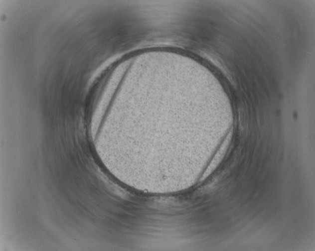 X0000073731452200608311833