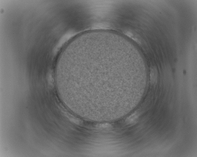 X0000073731454200608311833