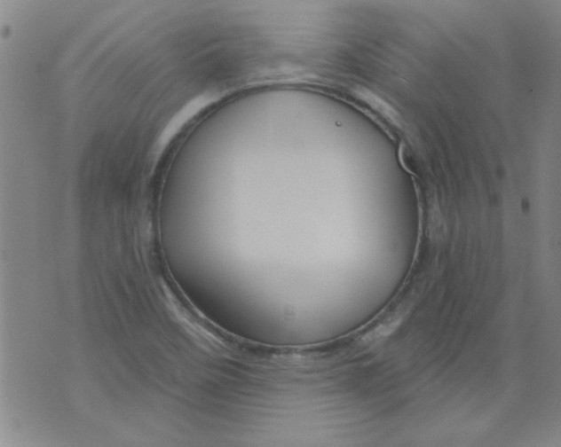 X0000073731458200608311833