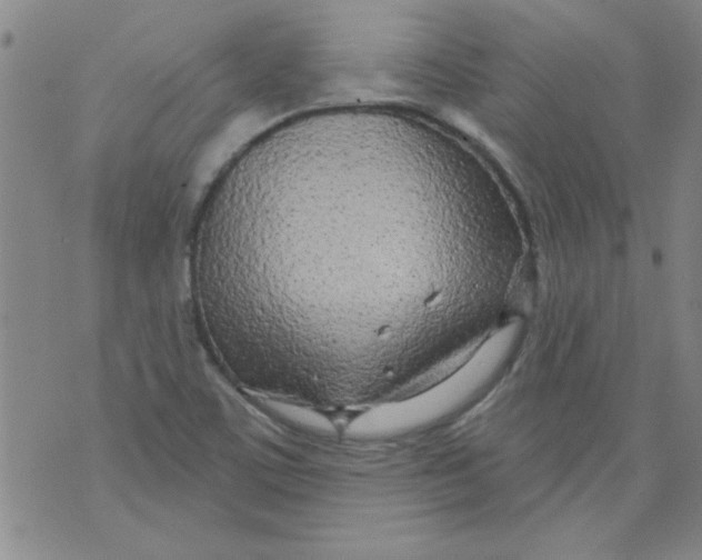 X0000073731459200608311833