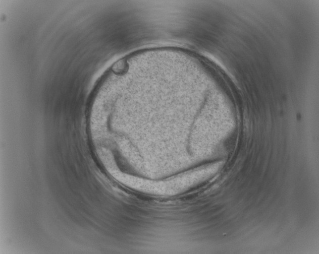 X0000073731460200608311833