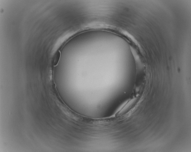 X0000073731461200608311833