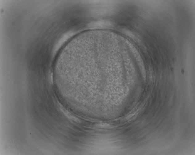 X0000073731462200608311833