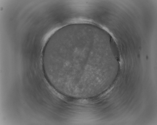 X0000073731463200608311833