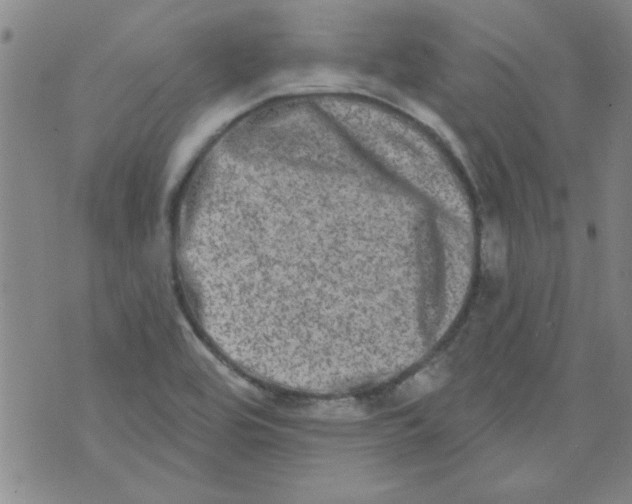 X0000073731464200608311833