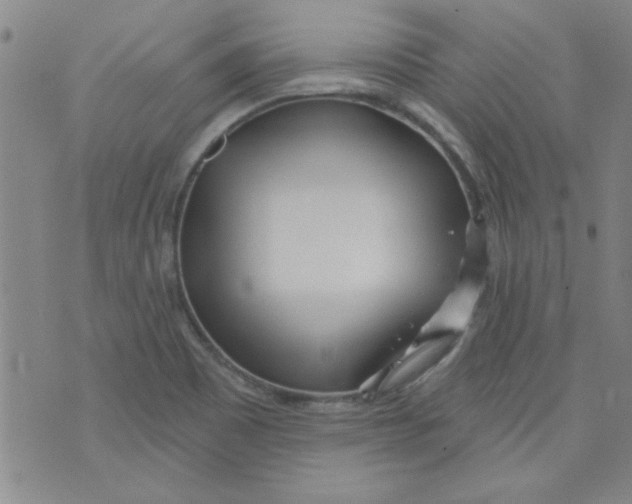 X0000073731465200608311833