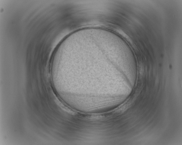 X0000073731466200608311833