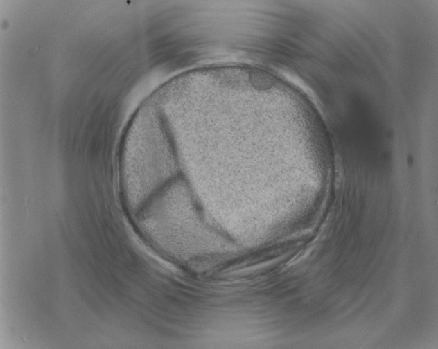 X0000073731467200608311833