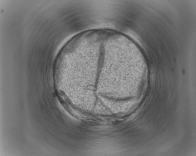 X0000073731468200608311833