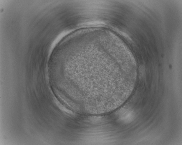 X0000073731470200608311833