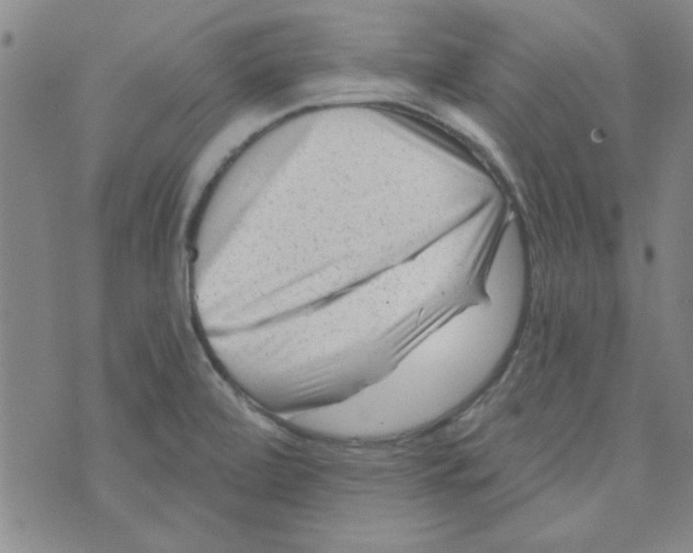 X0000073731472200608311833