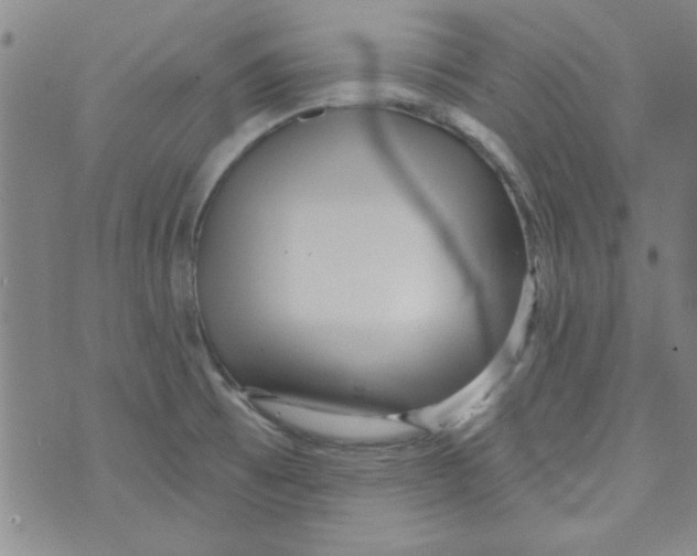 X0000073731473200608311833