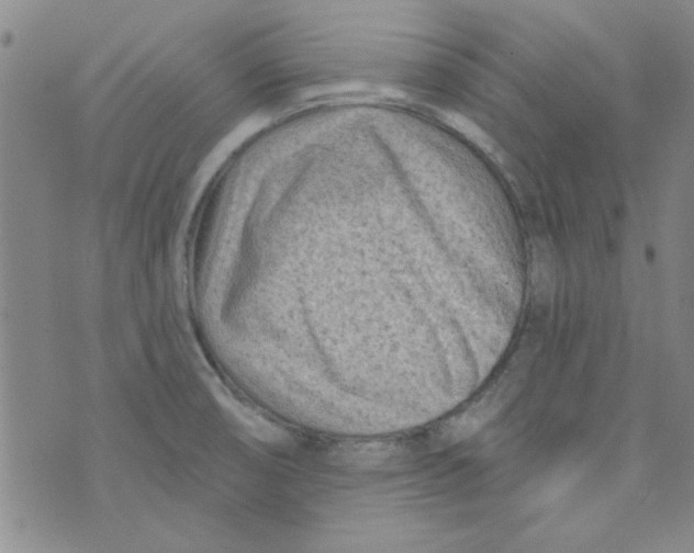 X0000073731474200608311833