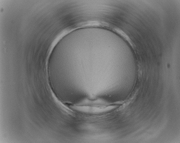 X0000073731475200608311833