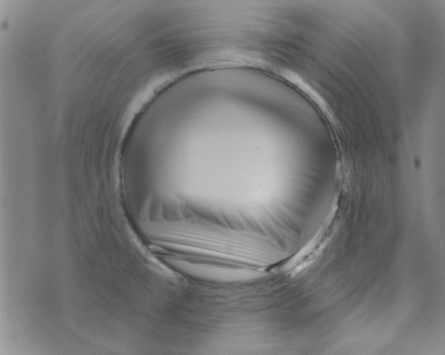 X0000073731477200608311833