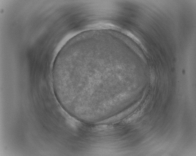 X0000073731478200608311833