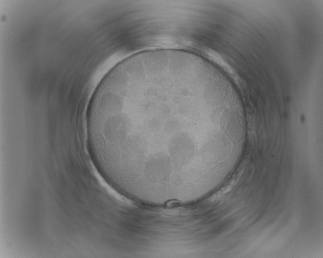 X0000073731479200608311833