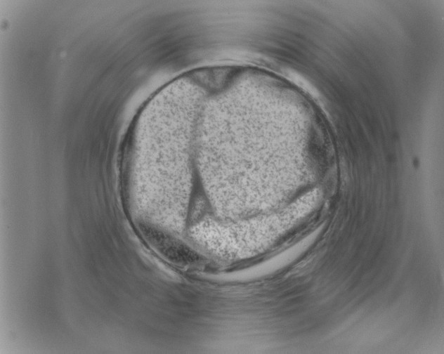 X0000073731480200608311833