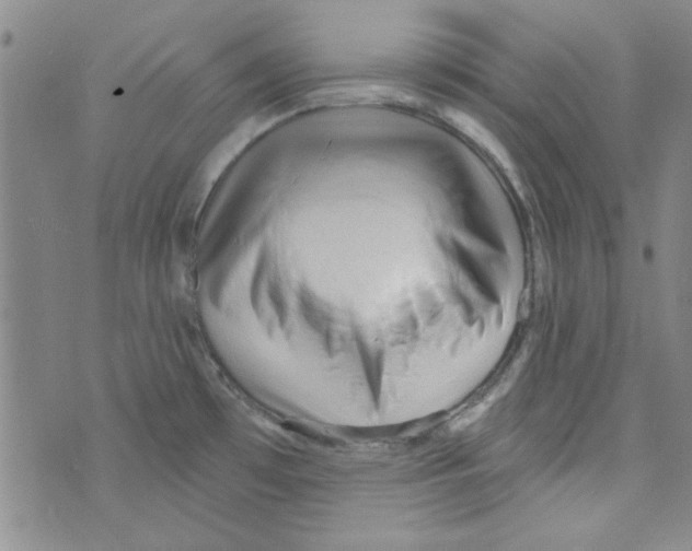 X0000073731481200608311833