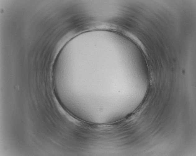 X0000073731483200608311833