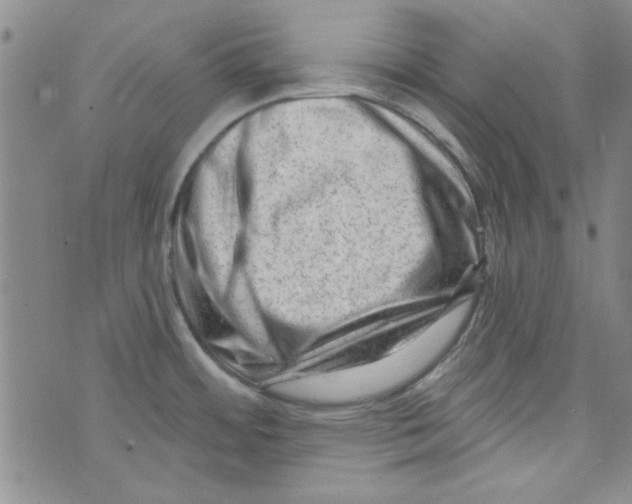 X0000073731484200608311832