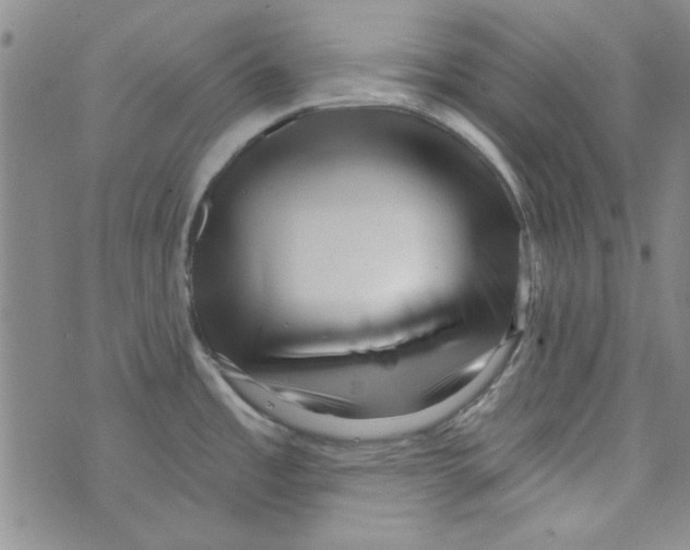 X0000073731485200608311832