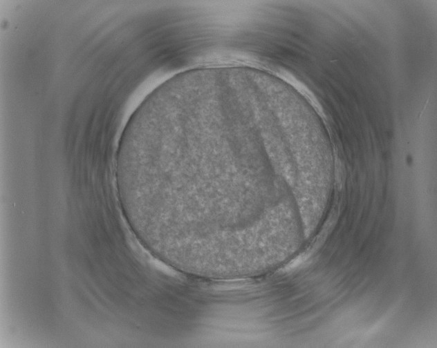 X0000073731486200608311832