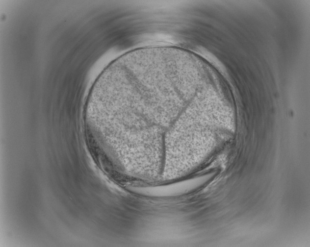 X0000073731488200608311832