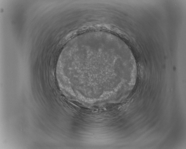 X0000073731489200608311832