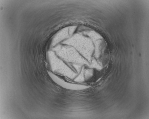 X0000073731490200608311832