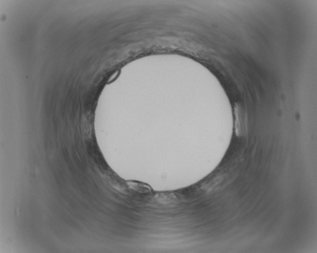 X0000073731491200608311832