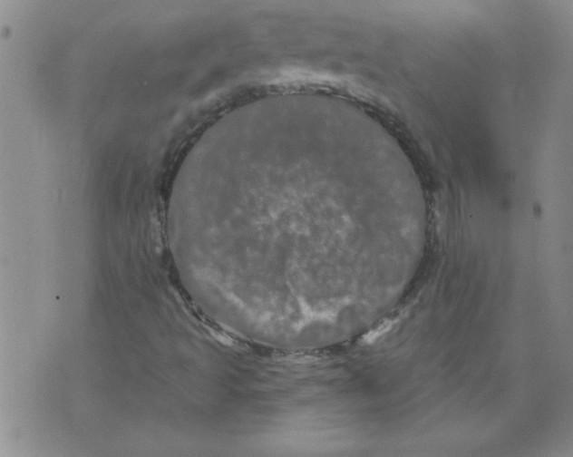 X0000073731493200608311832