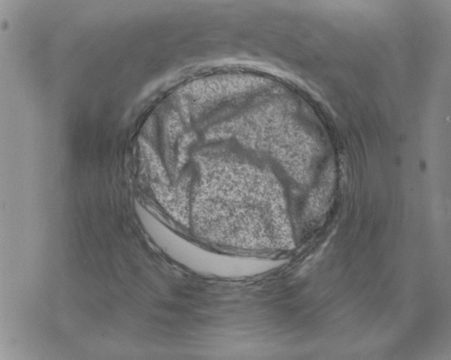 X0000073731494200608311832