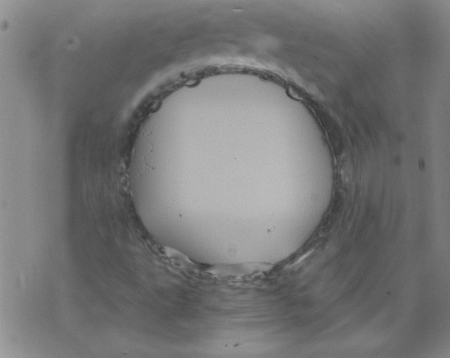 X0000073731495200608311832