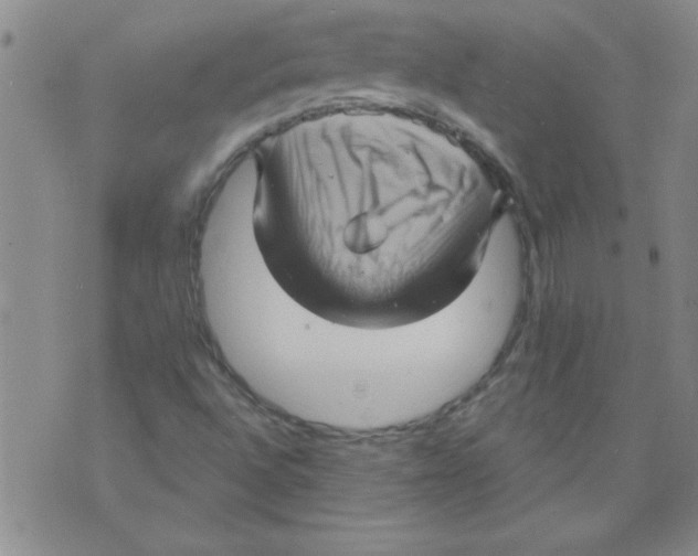 X0000073731496200608311832