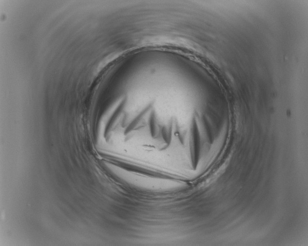 X0000073731497200608311832