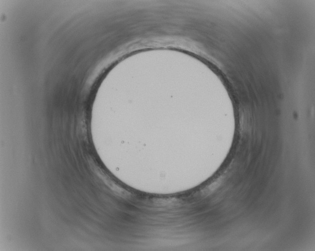 X0000073731498200608311832