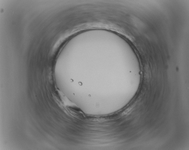 X0000073731499200608311832