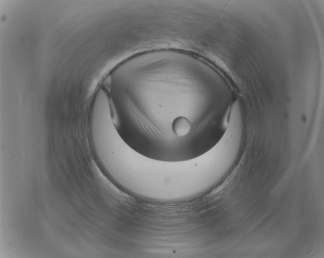 X0000073731500200608311832