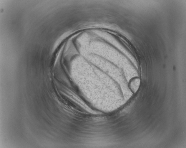 X0000073731501200608311832