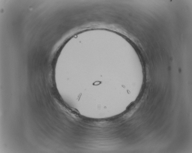 X0000073731502200608311832