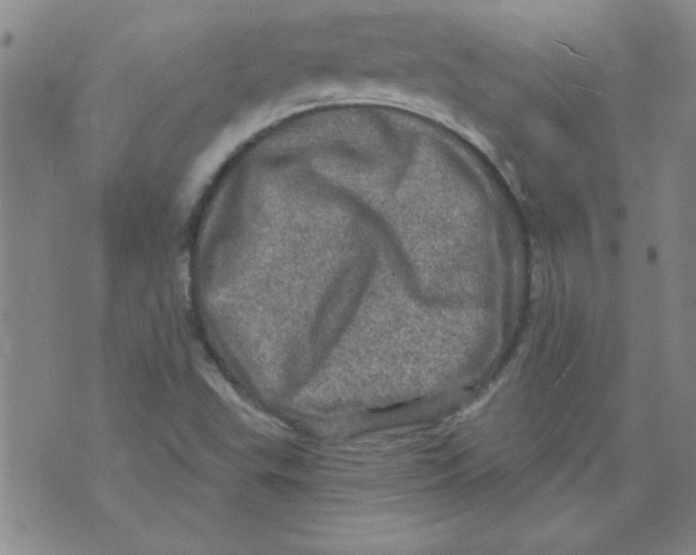 X0000073731503200608311832