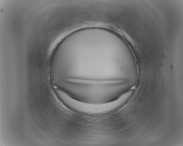 X0000073731504200608311832