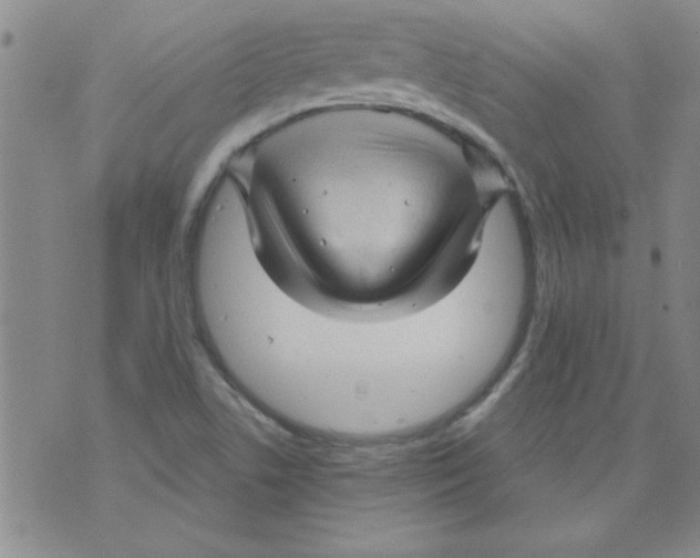 X0000073731506200608311832