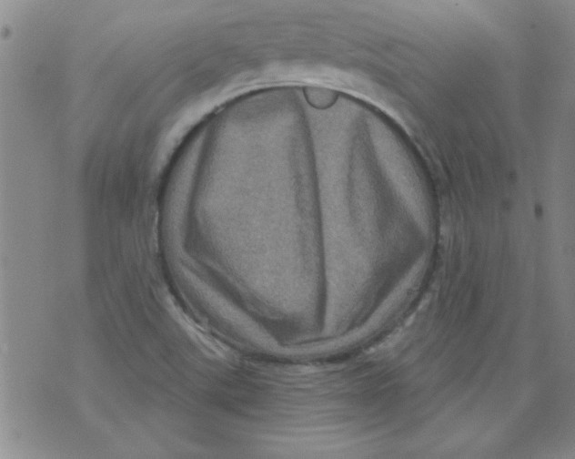 X0000073731507200608311832