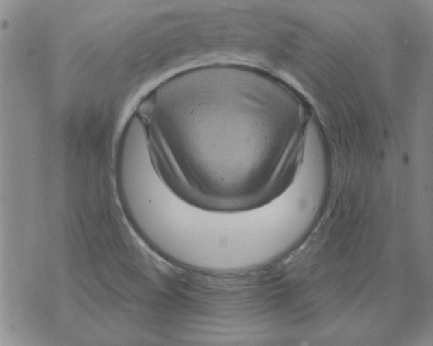 X0000073731508200608311832