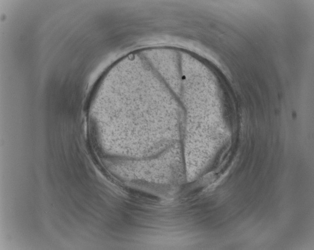 X0000073731509200608311832