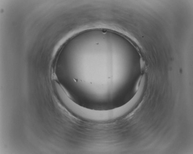 X0000073731510200608311832