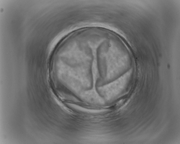 X0000073731511200608311832