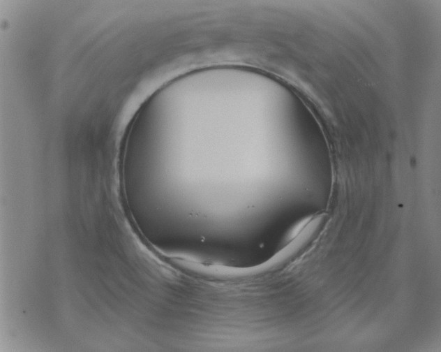 X0000073731512200608311832